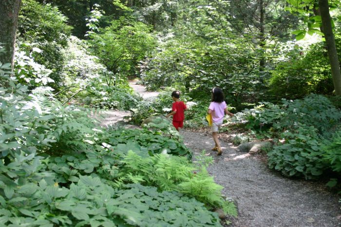 garden in the woods native plant trust boston kids